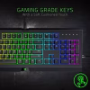 Razer - Cynosa Chroma